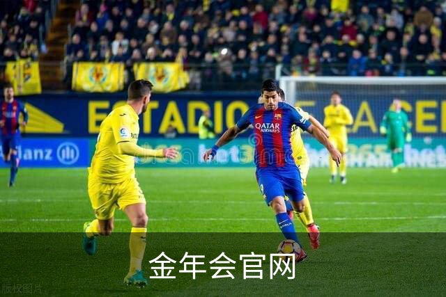 金年会官网 公司简介